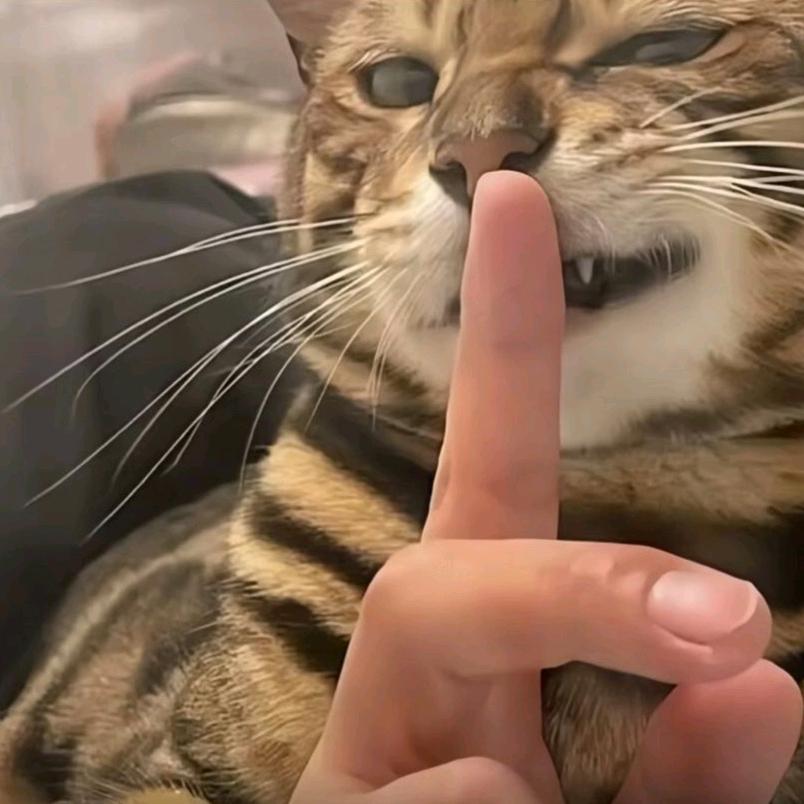神殇头像