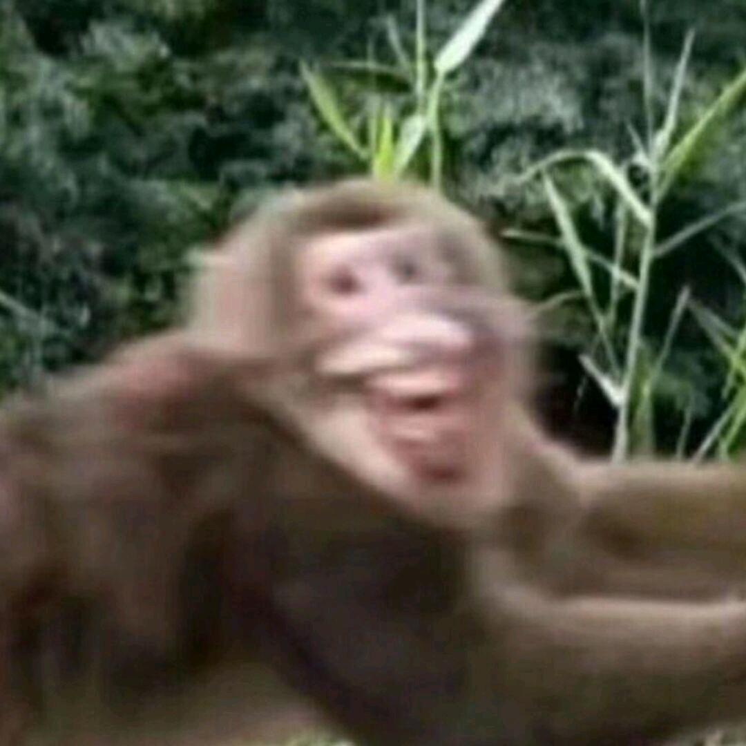 开心小懿