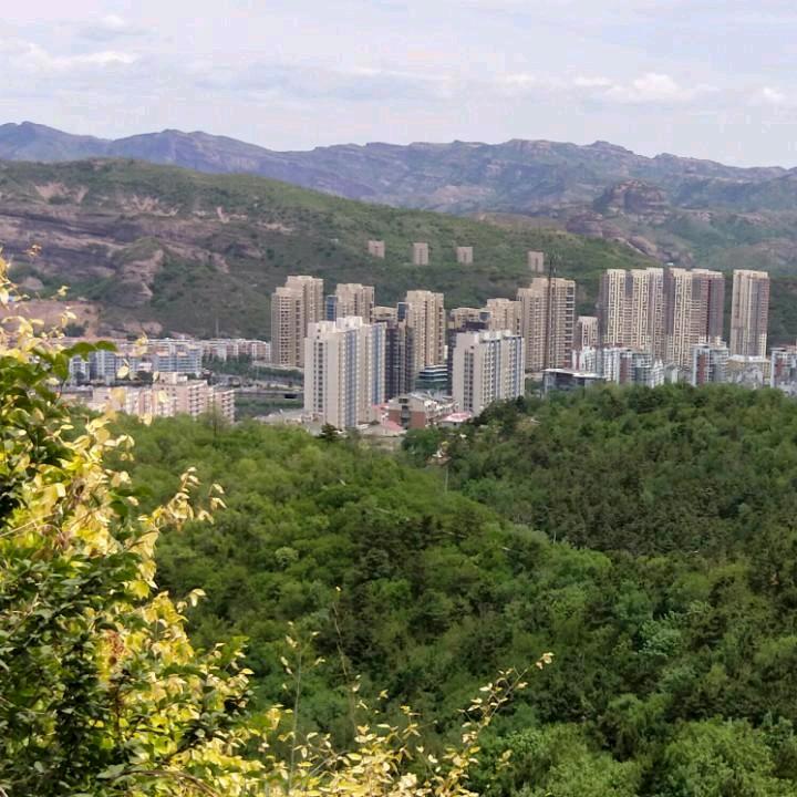 成义财经