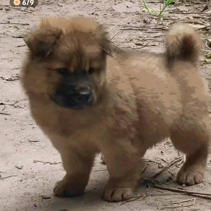 你是我的唯一