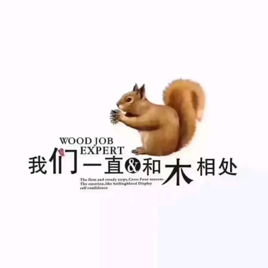 木头先生