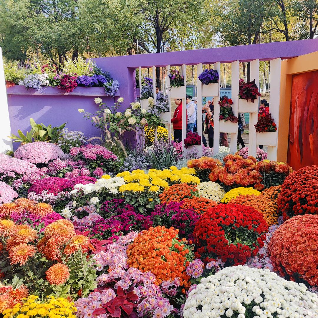 勤劳的小猴子🐵