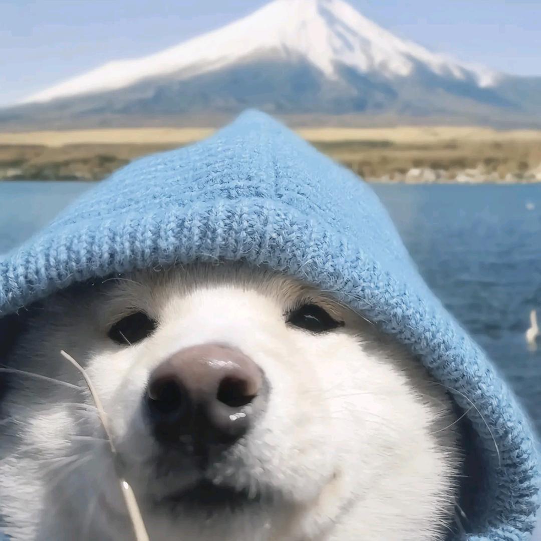 超雄染色体