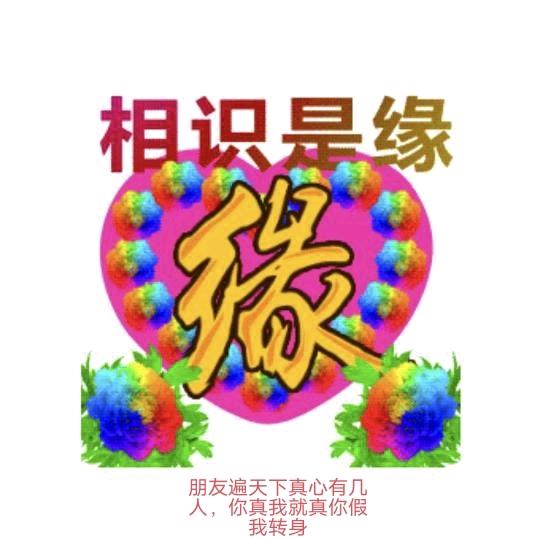 为善最乐朋友遍天下，你真我就真，你假我