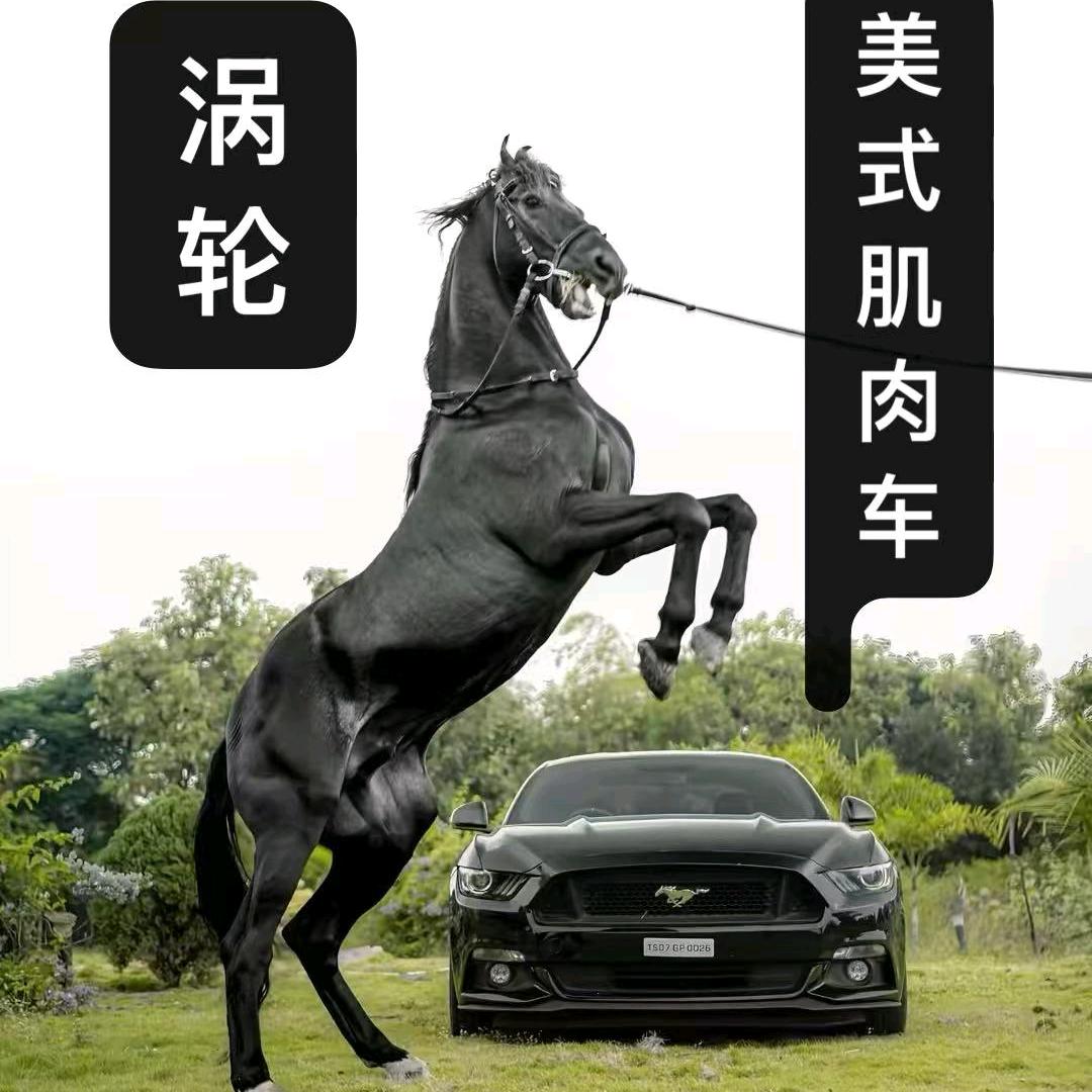 小张总好车（涡轮名车）