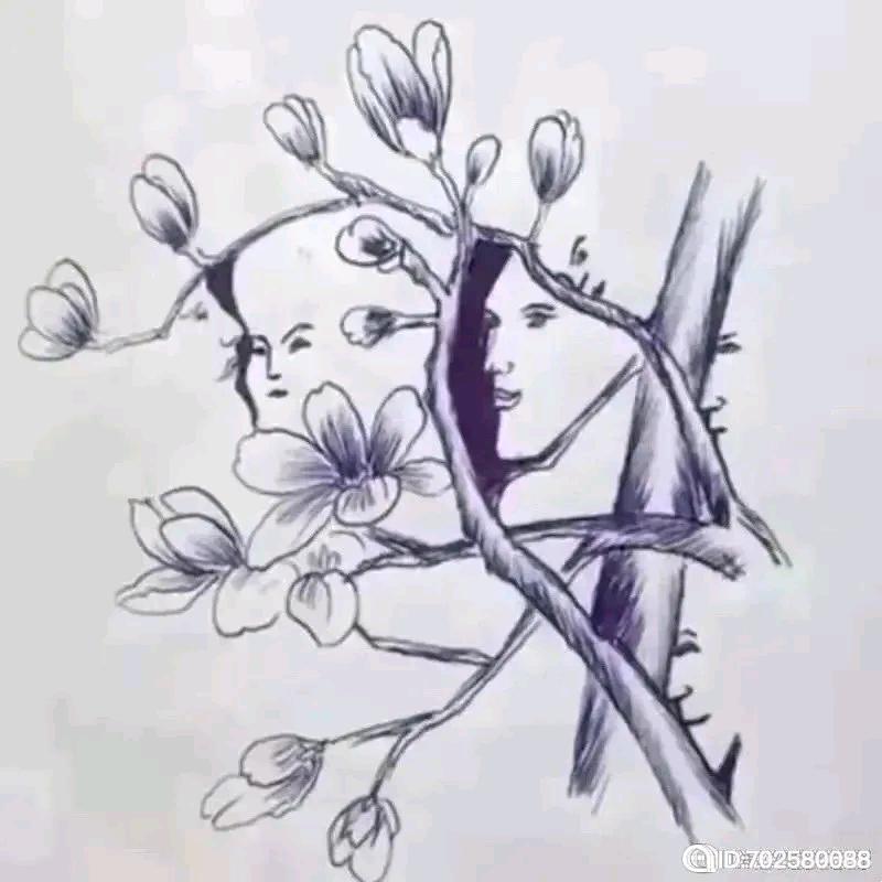 空白♬