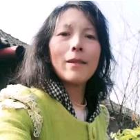 虾绿幕