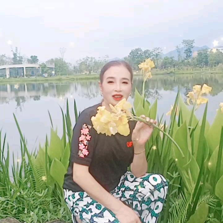 好友来
