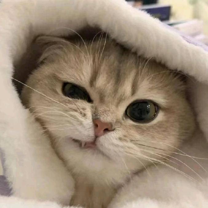 漫漫亦慢慢