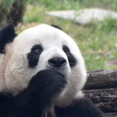 广州萍亚贸易有限公司.
