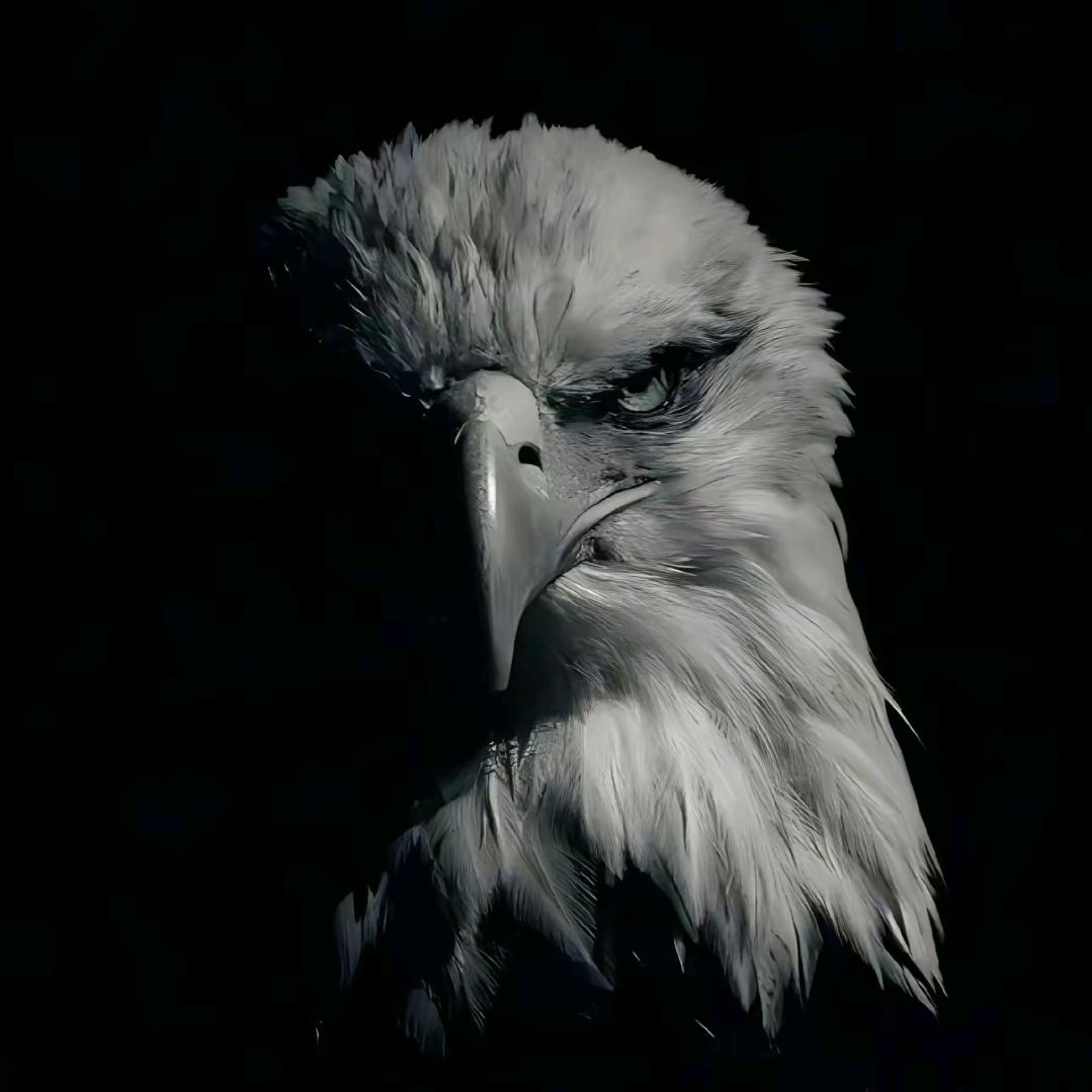 ·海深时见鲸🐋