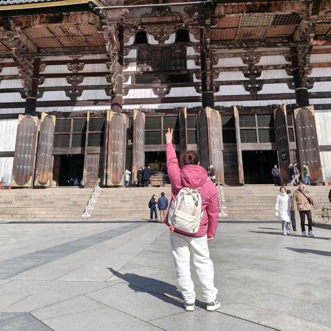 哪有那么多为啥