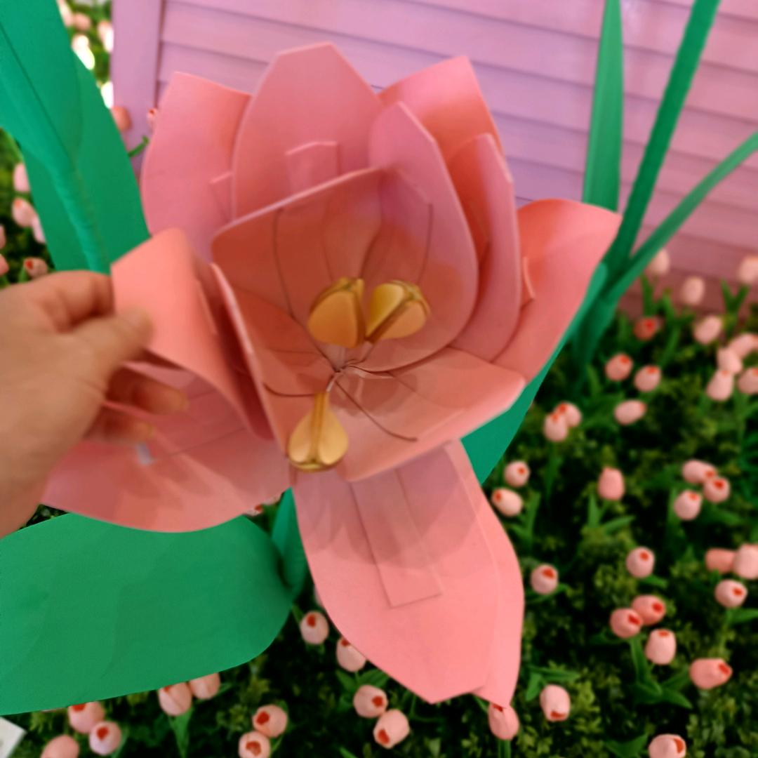 明天更好