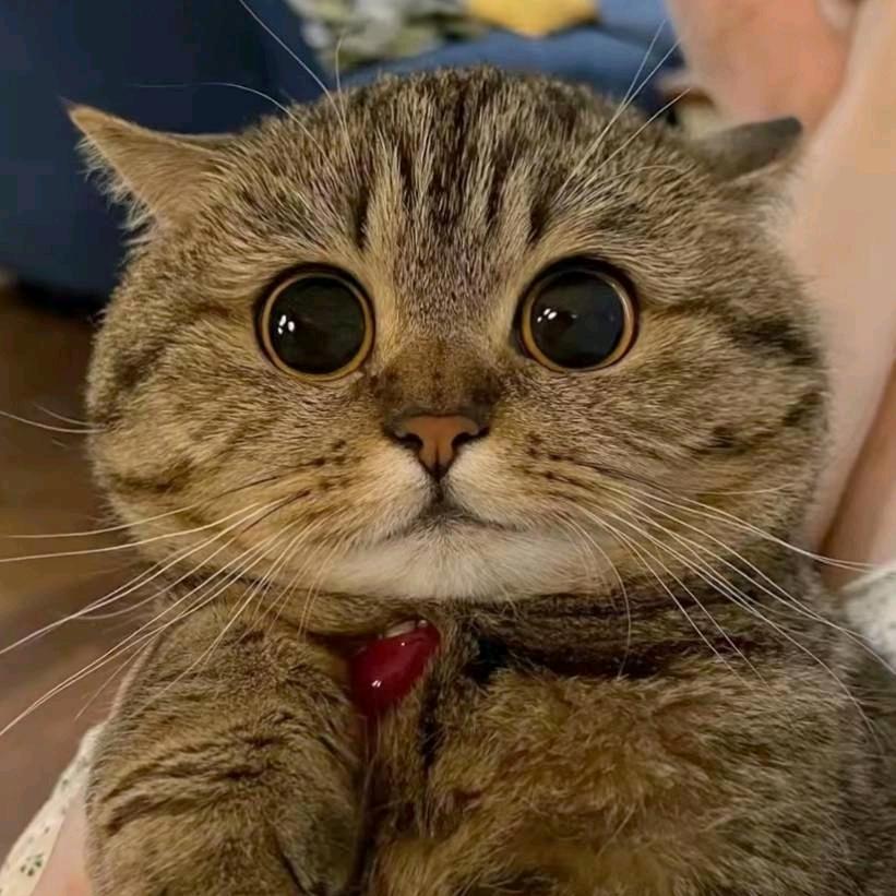 咳咳～