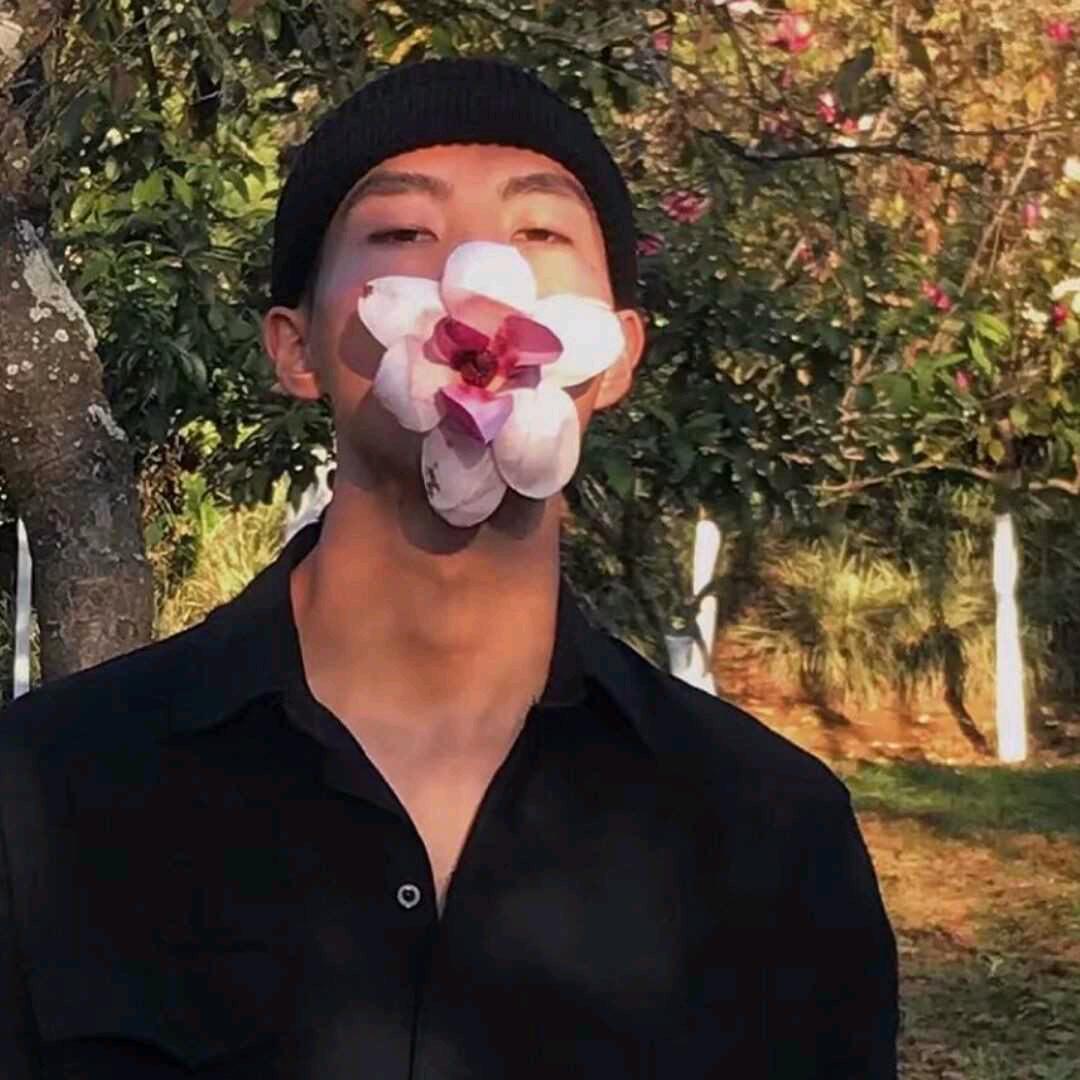 楚子航