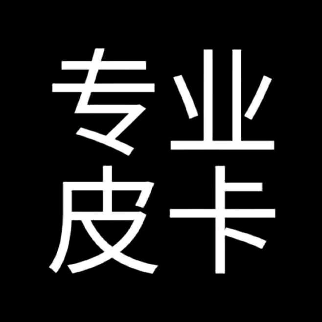 新余皮卡大王