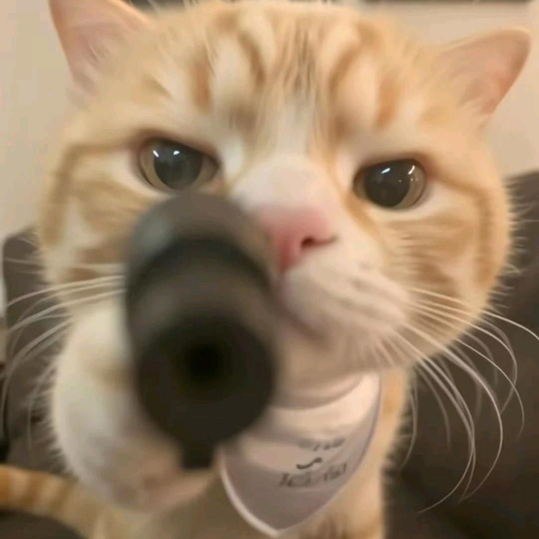 小说推文
