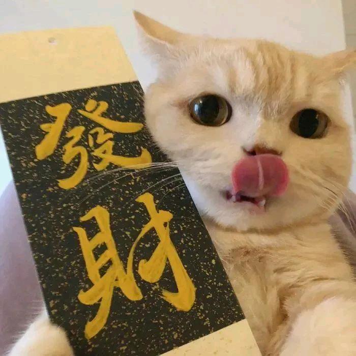 小胃袋