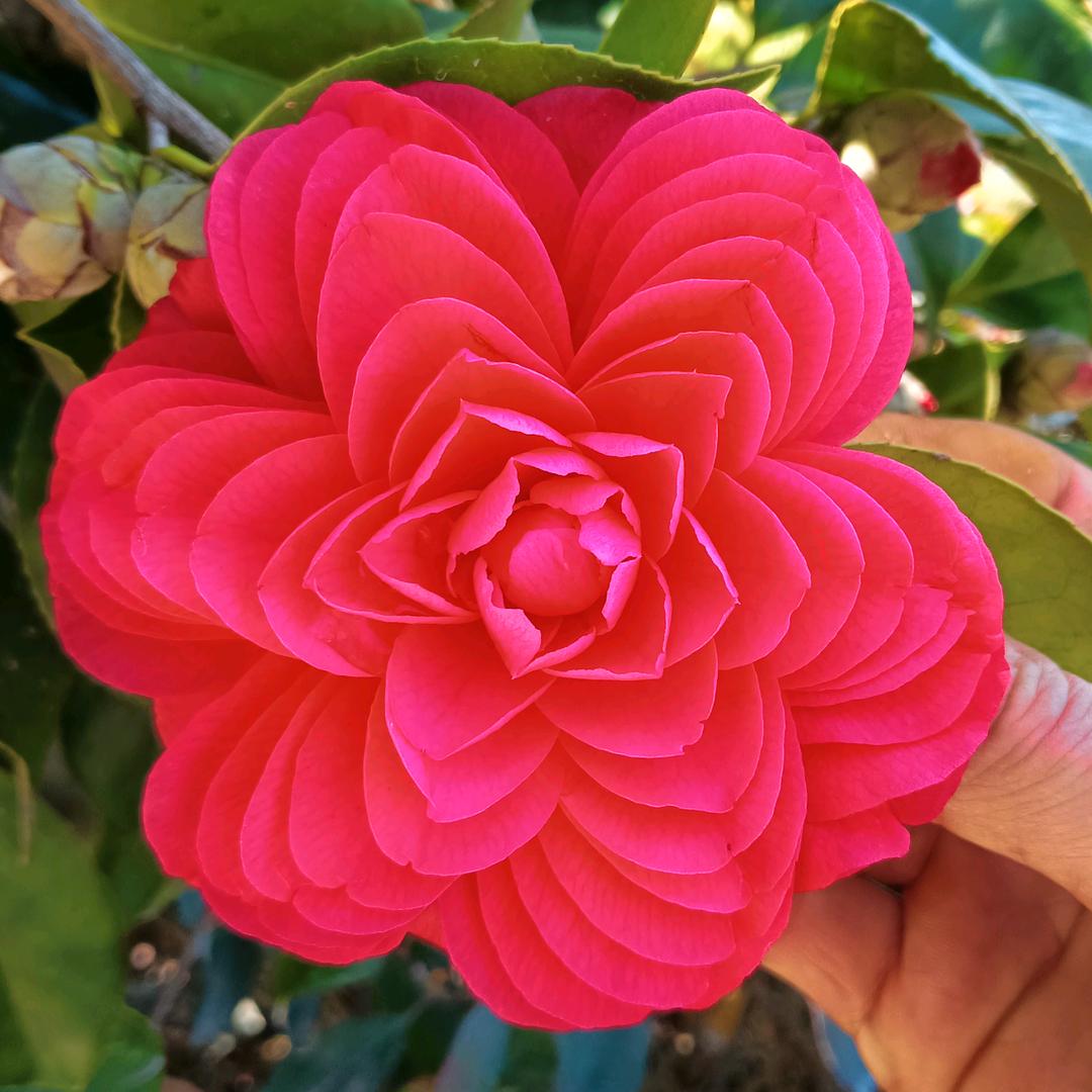 未来的路谁陪我走