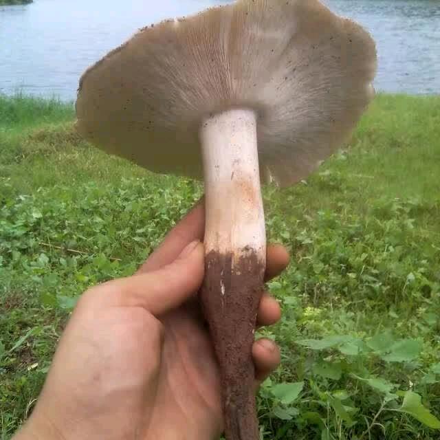 今生修缘