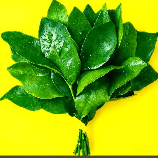 你是我的上上签