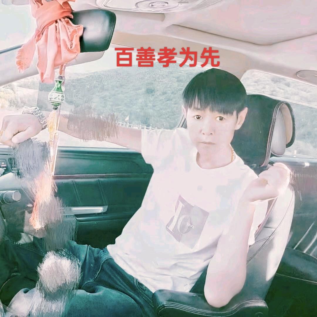 金龙绿化苗木