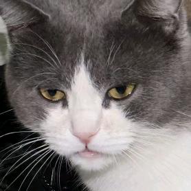 阿淼（想和对象粗去玩版）