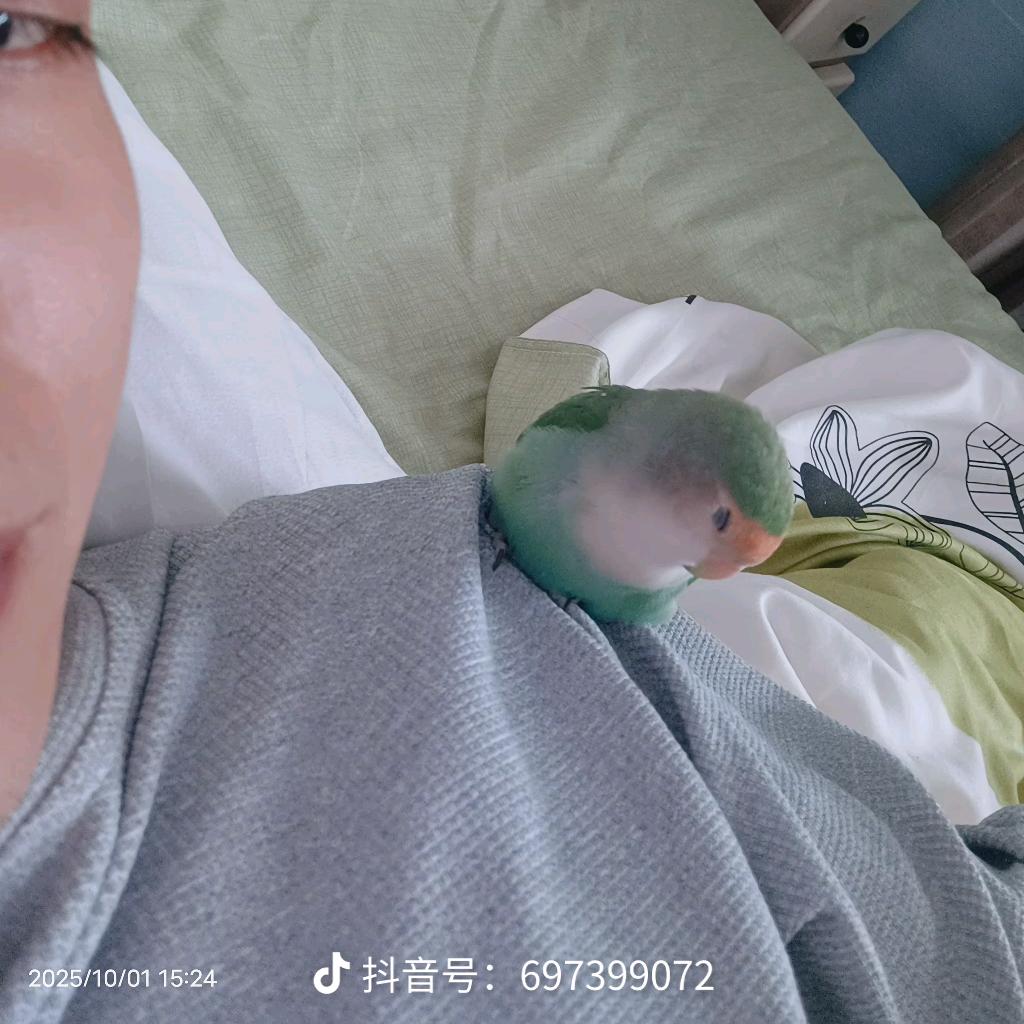 李子