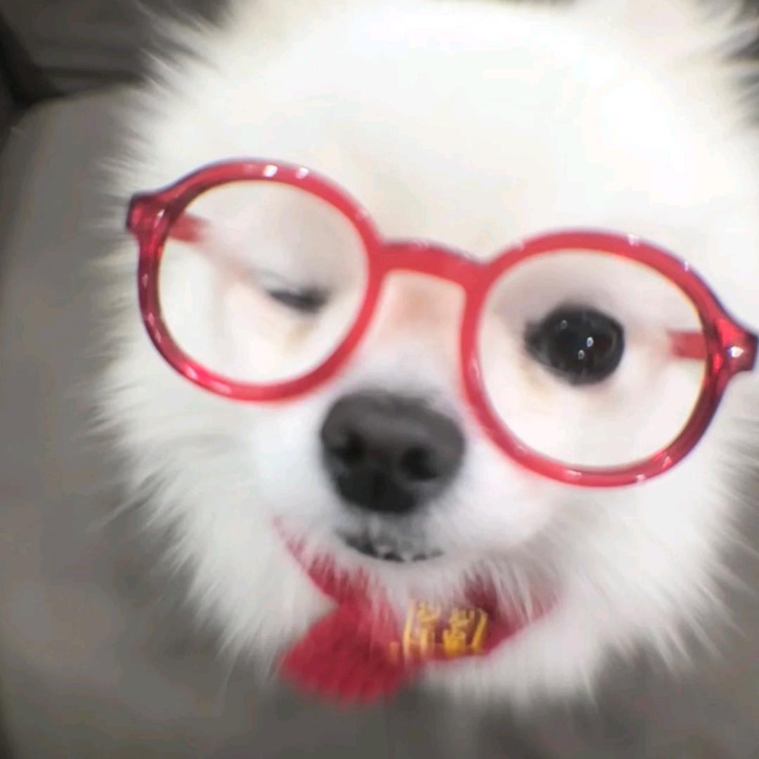 小R