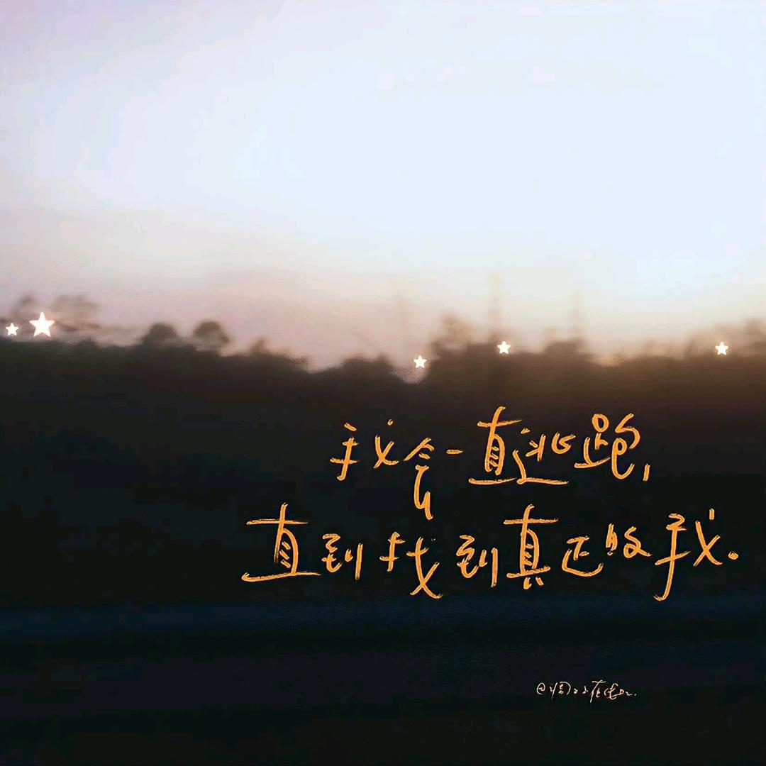 羞答答的玫瑰。