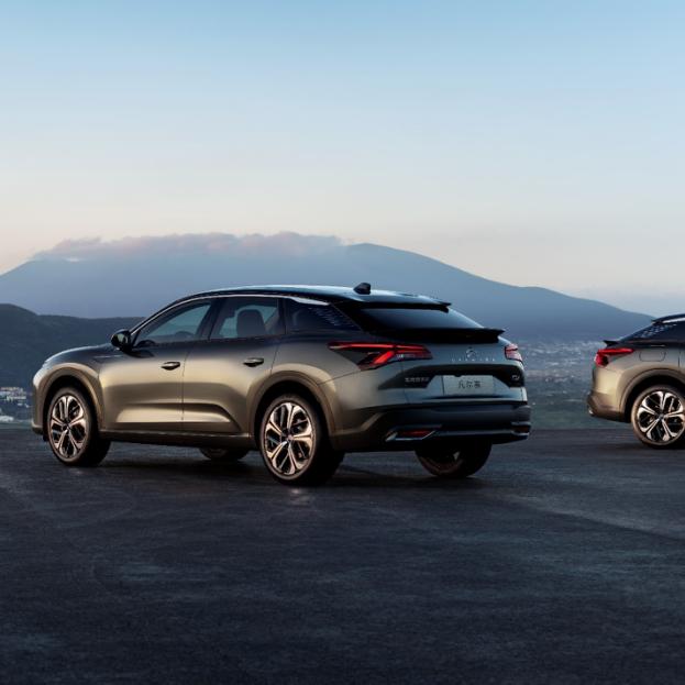 深圳金穗子标雪店