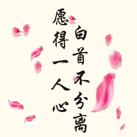 ．ಡ沐辰
