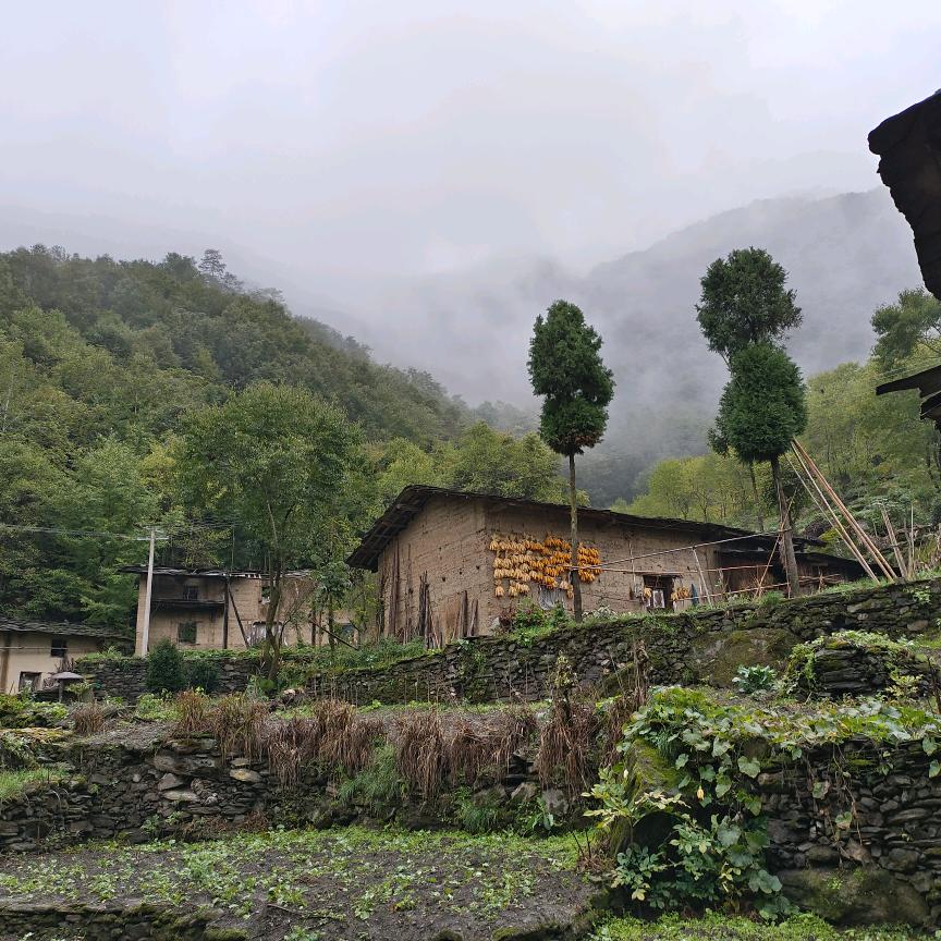 为你守护