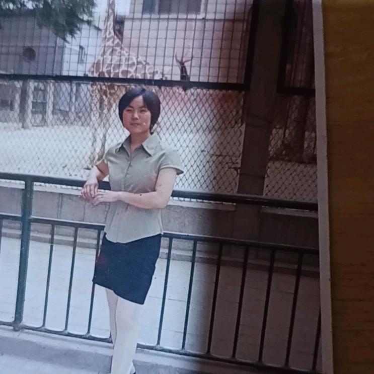 玉琴