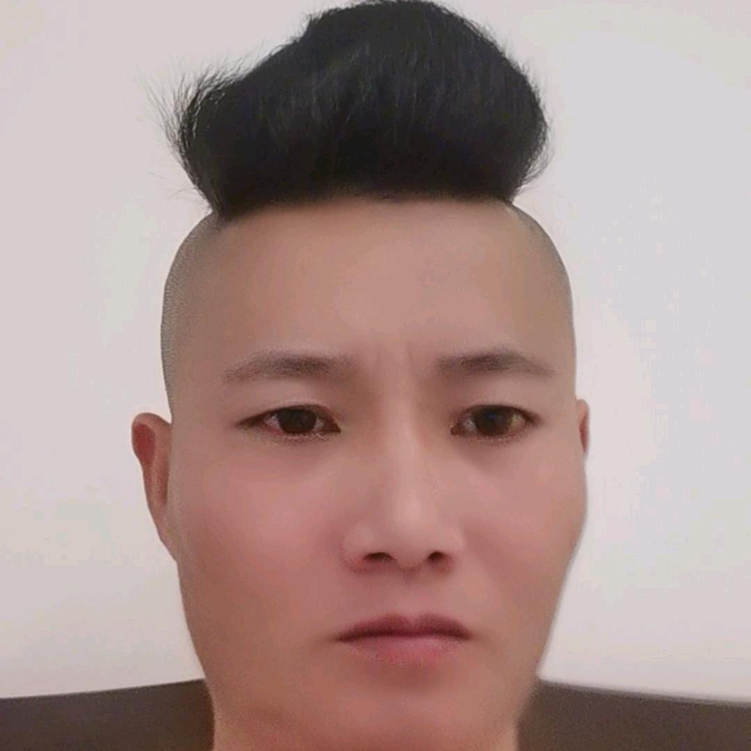 赵龙