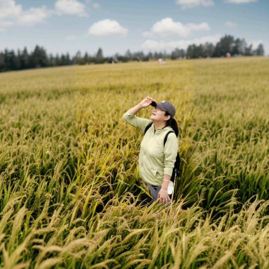 再也回不去的从前