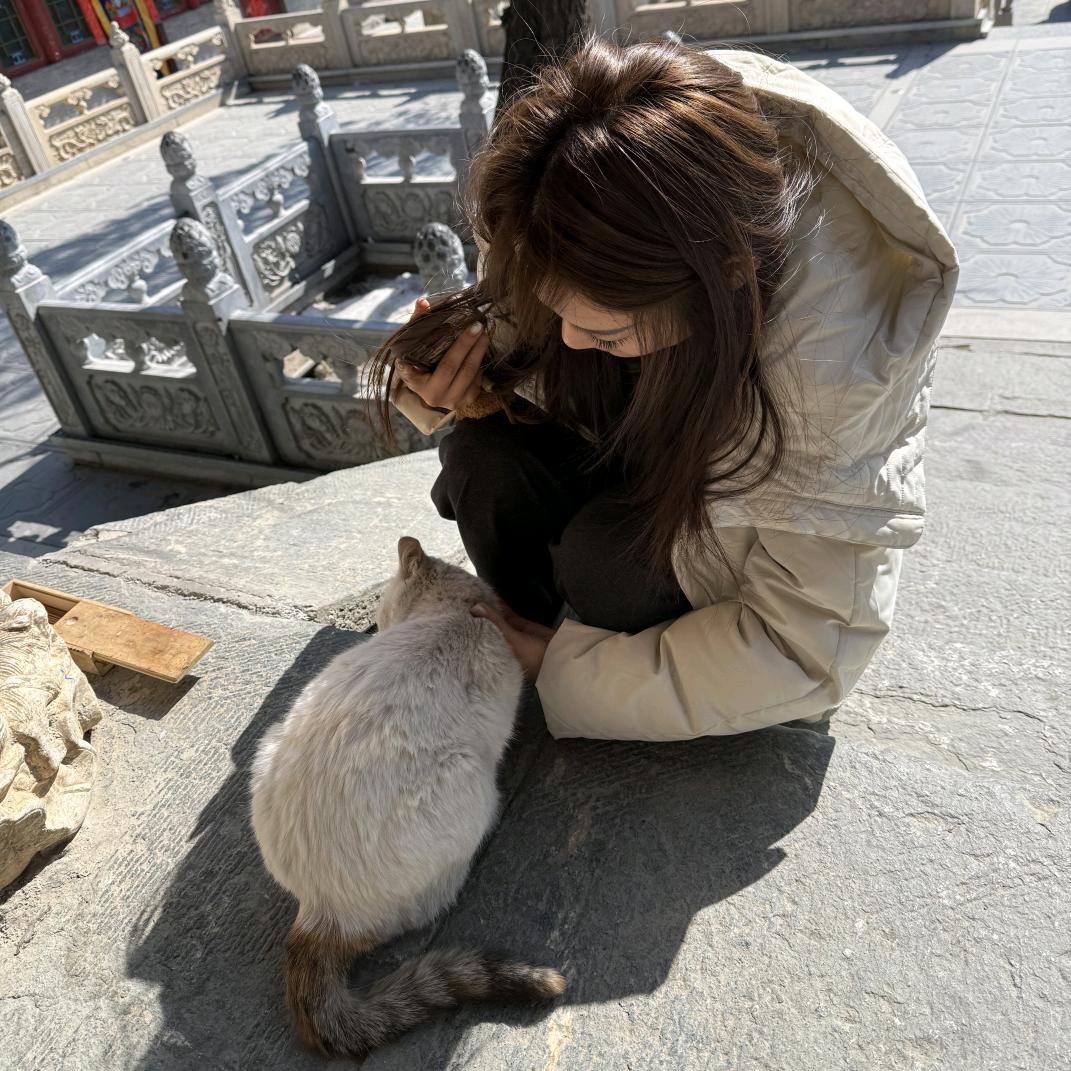 😘请叫我关半仙