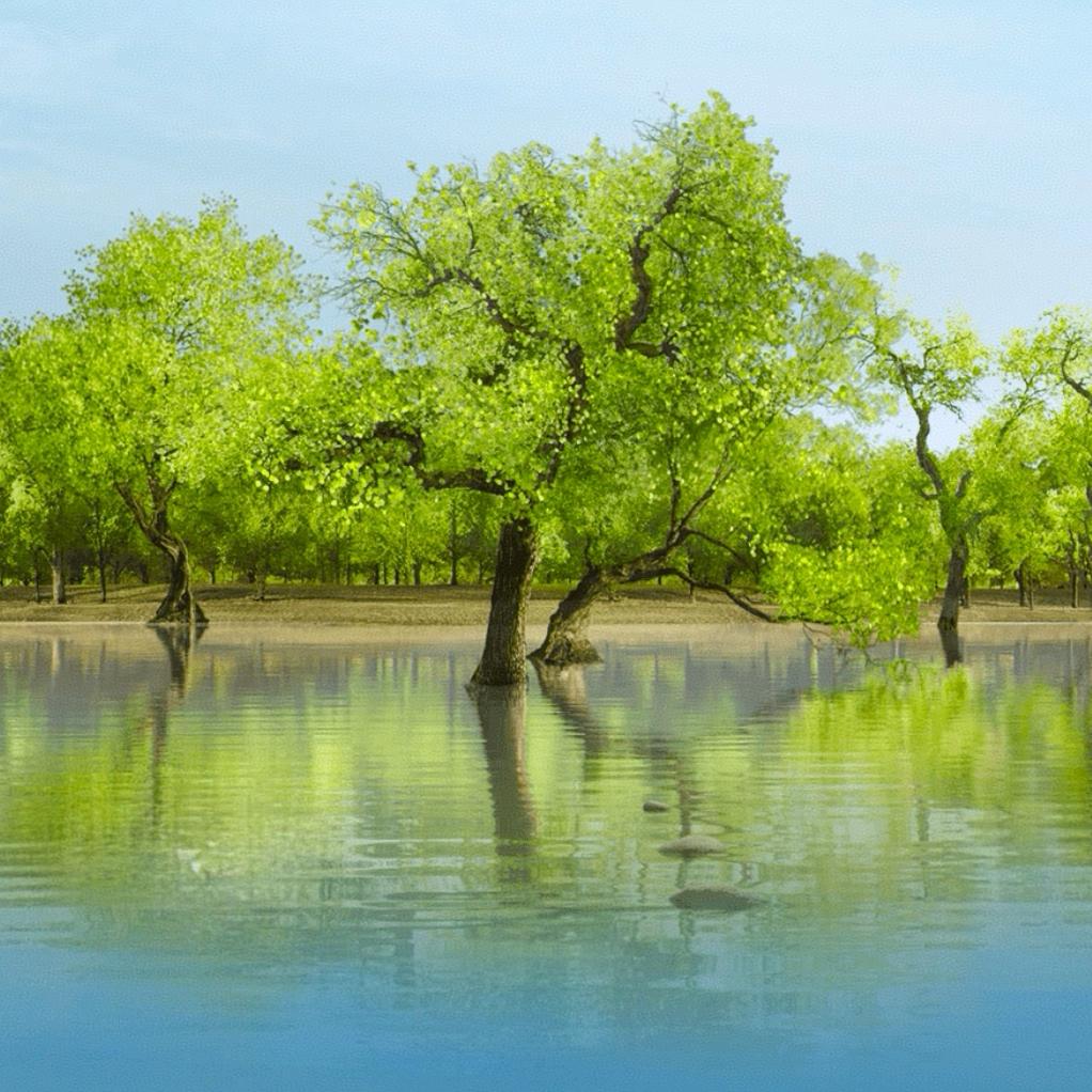 浮云一别后，流水十年间”