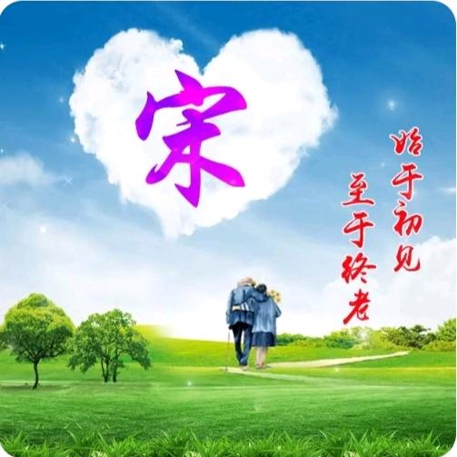 金风✨宋✨喜来