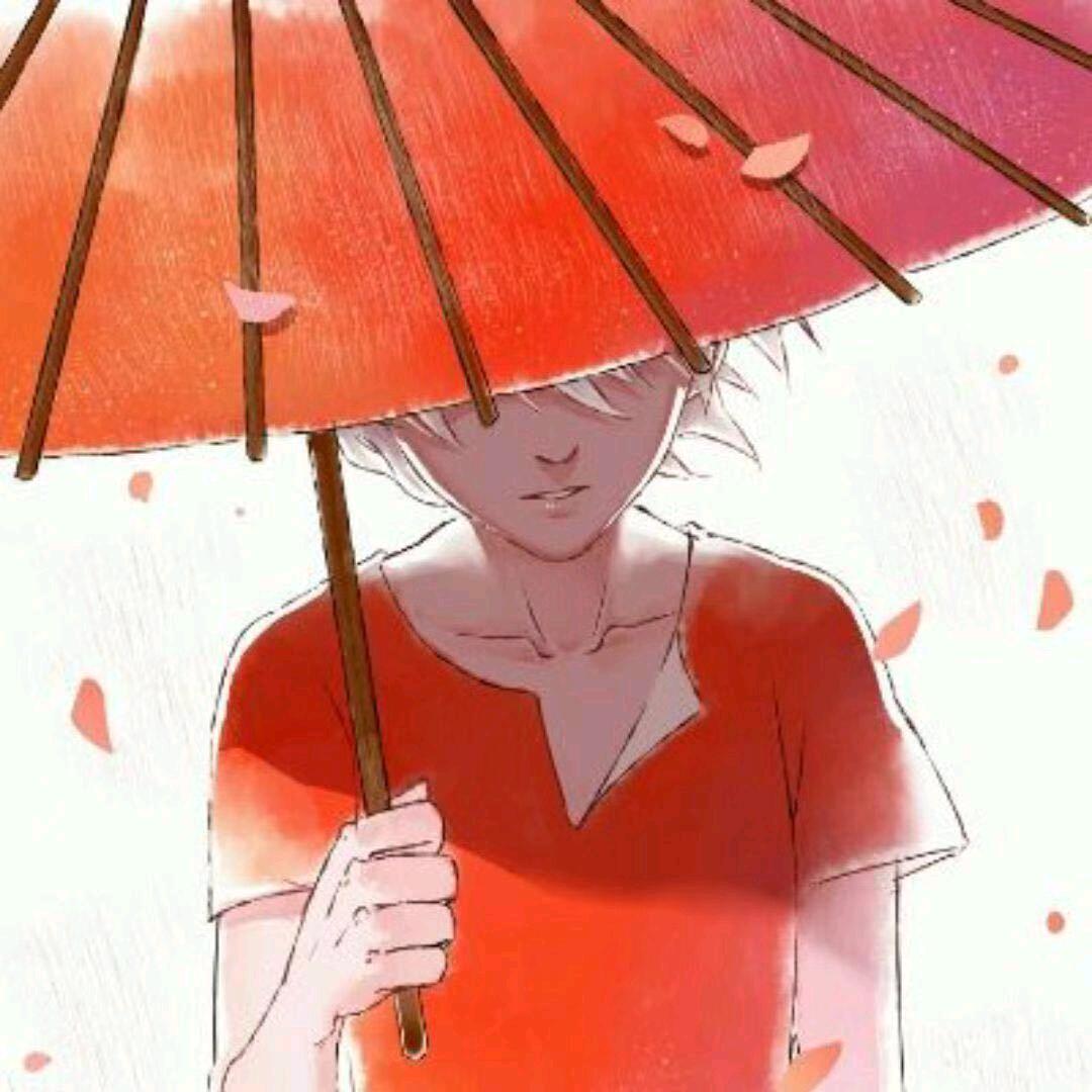 草莓味的小肥肉