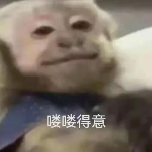 马楼大大王