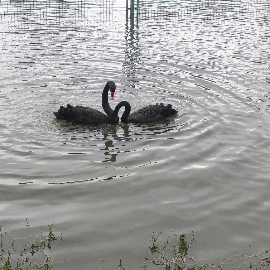一缕阳光🌻🌻🌻