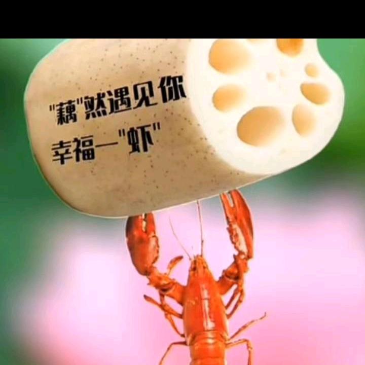 胜磊哥