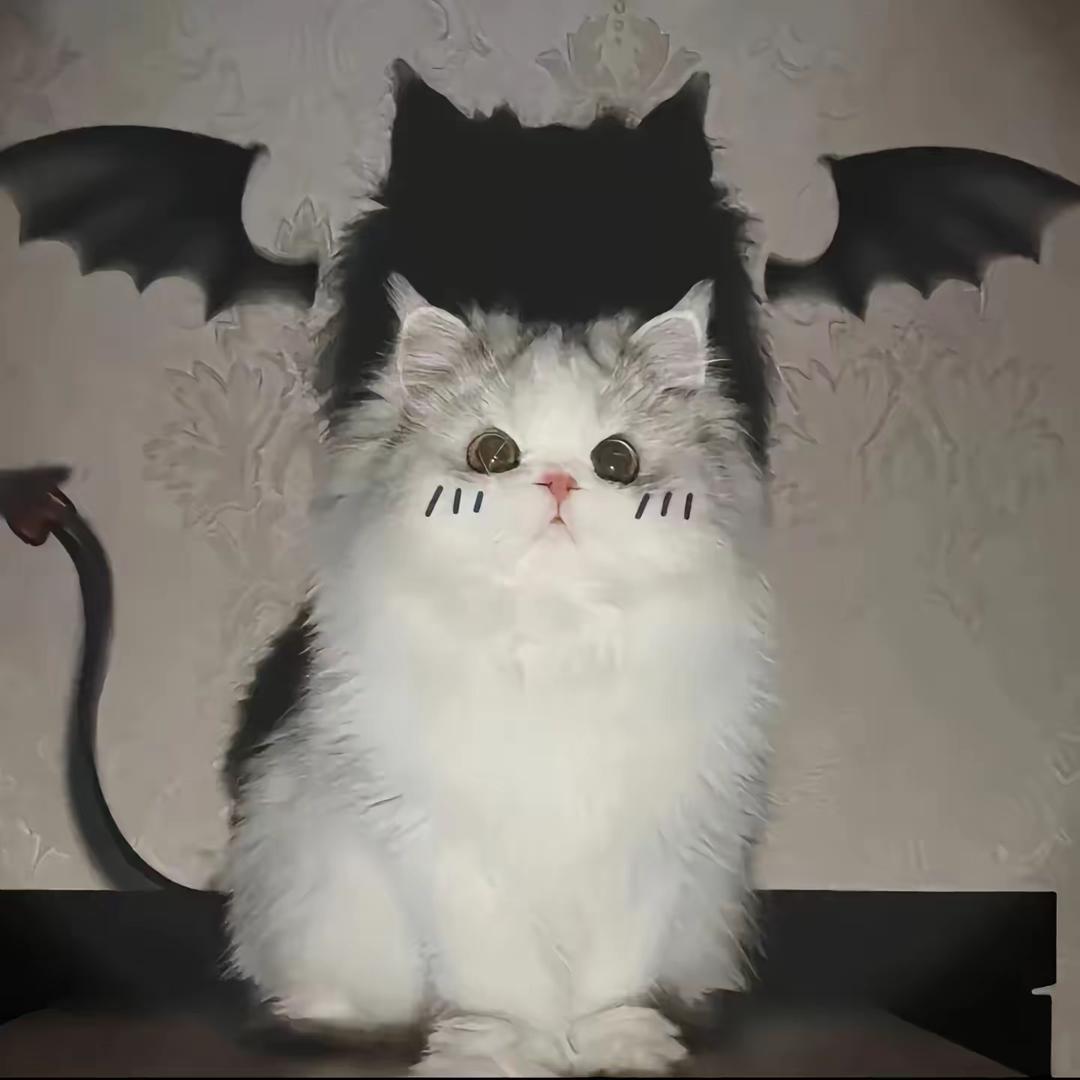 来杯少糖茉莉拿铁