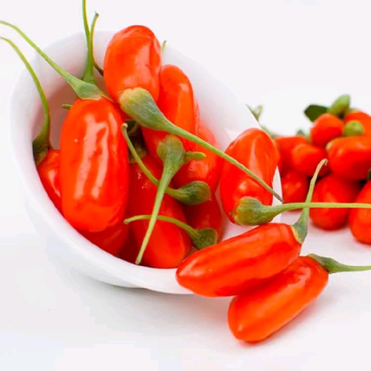 杞天萃中宁枸杞