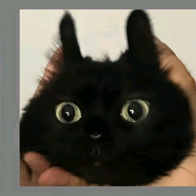 默