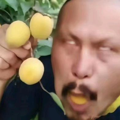 懵圈子（正品珠宝）