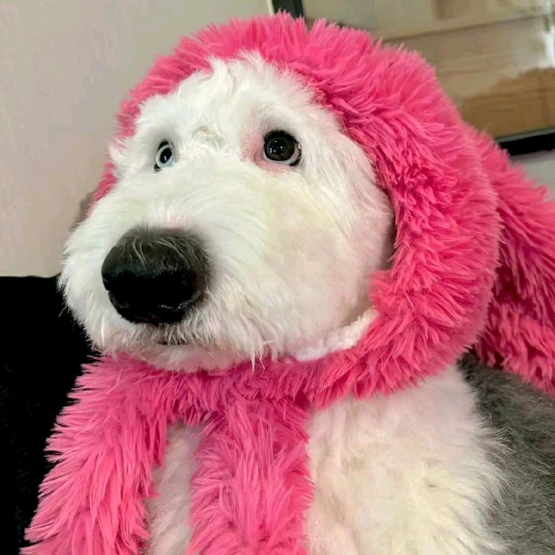 🌈不瘦到100斤不改名（见过鹿晗版）