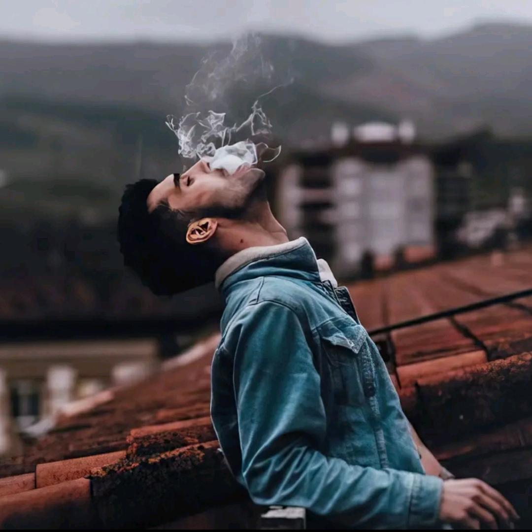 春风十里吹不动你🔮