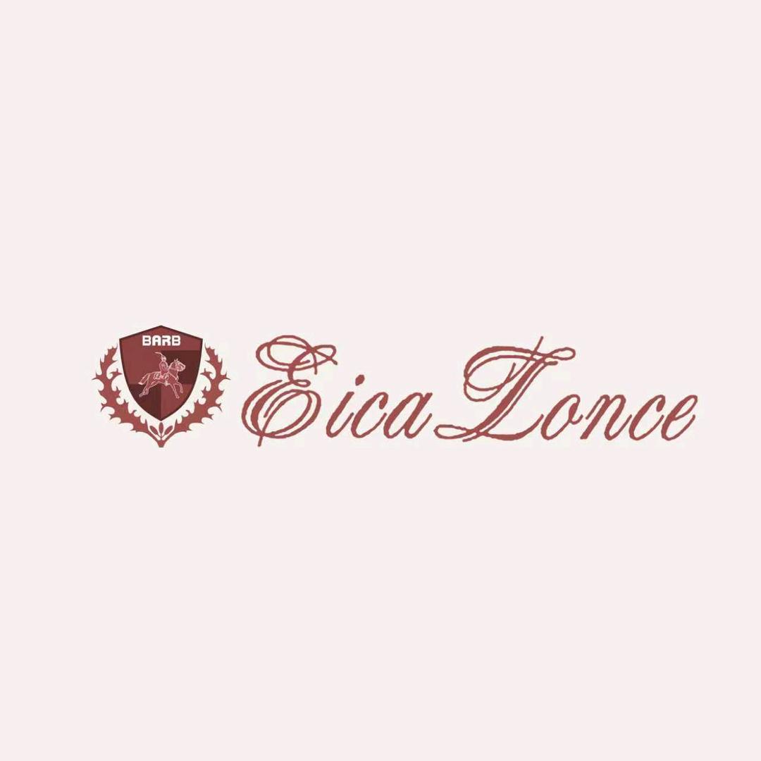意卡伦萨·EICA LONCE男装一号店